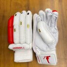 WhatsApp Image 2025-11-09 at 4.08.32 PM (1)