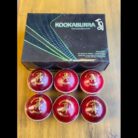 WhatsApp Image 2025-11-14 at 5.36.56 PM (2) (1)